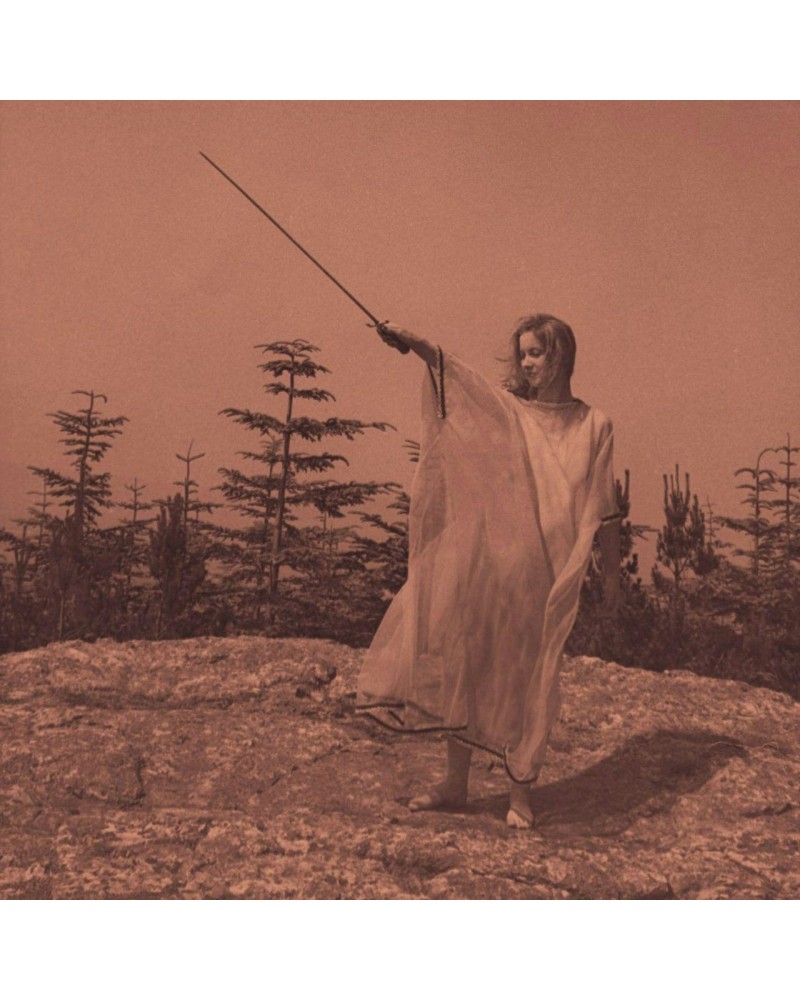 Unknown Mortal Orchestra II (10 Year Anniversary Reissue/2LP/Aluminum) Vinyl Record $12.91 Vinyl