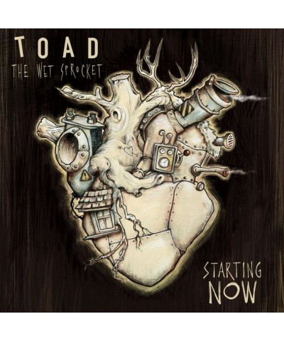 Toad The Wet Sprocket STARTING NOW CD $5.72 CD