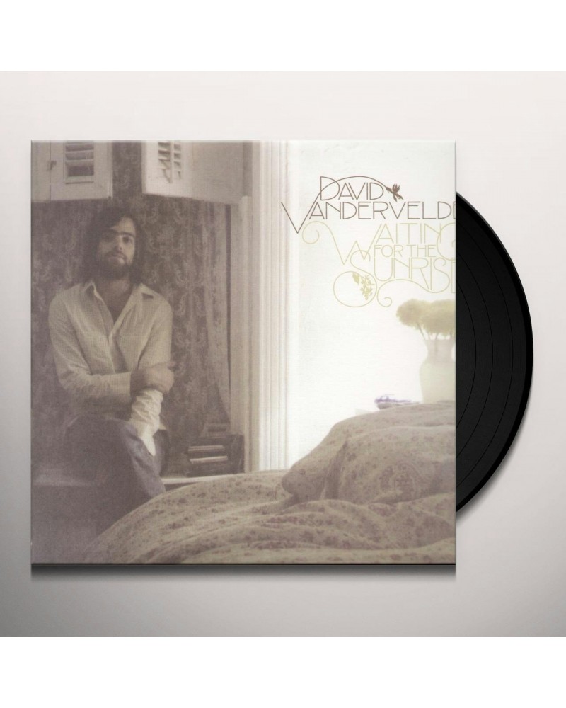 David Vandervelde Waiting For The Sunrise Vinyl Record $8.69 Vinyl