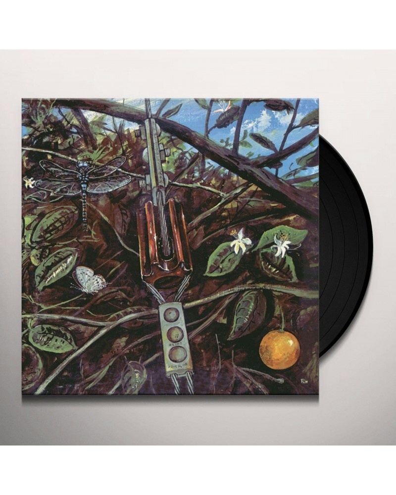 Dragonfly Vinyl Record $7.84 Vinyl